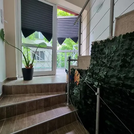 شقة бутикови емона *