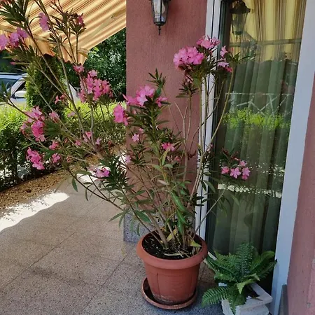 бутикови емона *