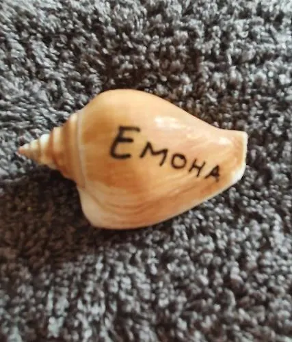 бутикови емона * 拉夫达