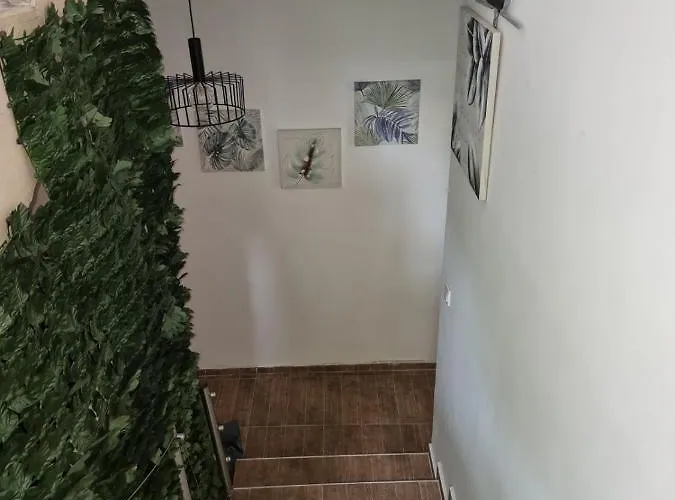 бутикови емона 公寓