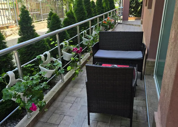 бутикови емона * 拉夫达