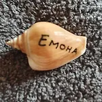 бутикови емона * Ravda