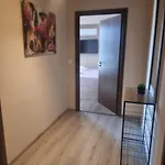 бутикови емона