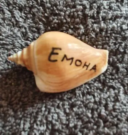 бутикови емона * 라브다